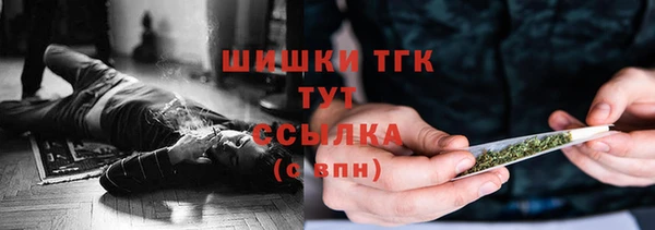 винт Гусев