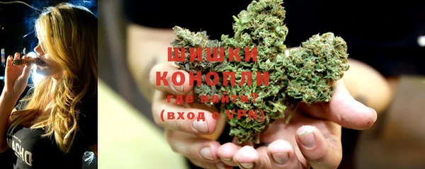 мяу мяу мука Дмитриев