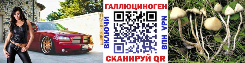 Купить  Козьмодемьянск  Галлюциногенные грибы прущие грибы 